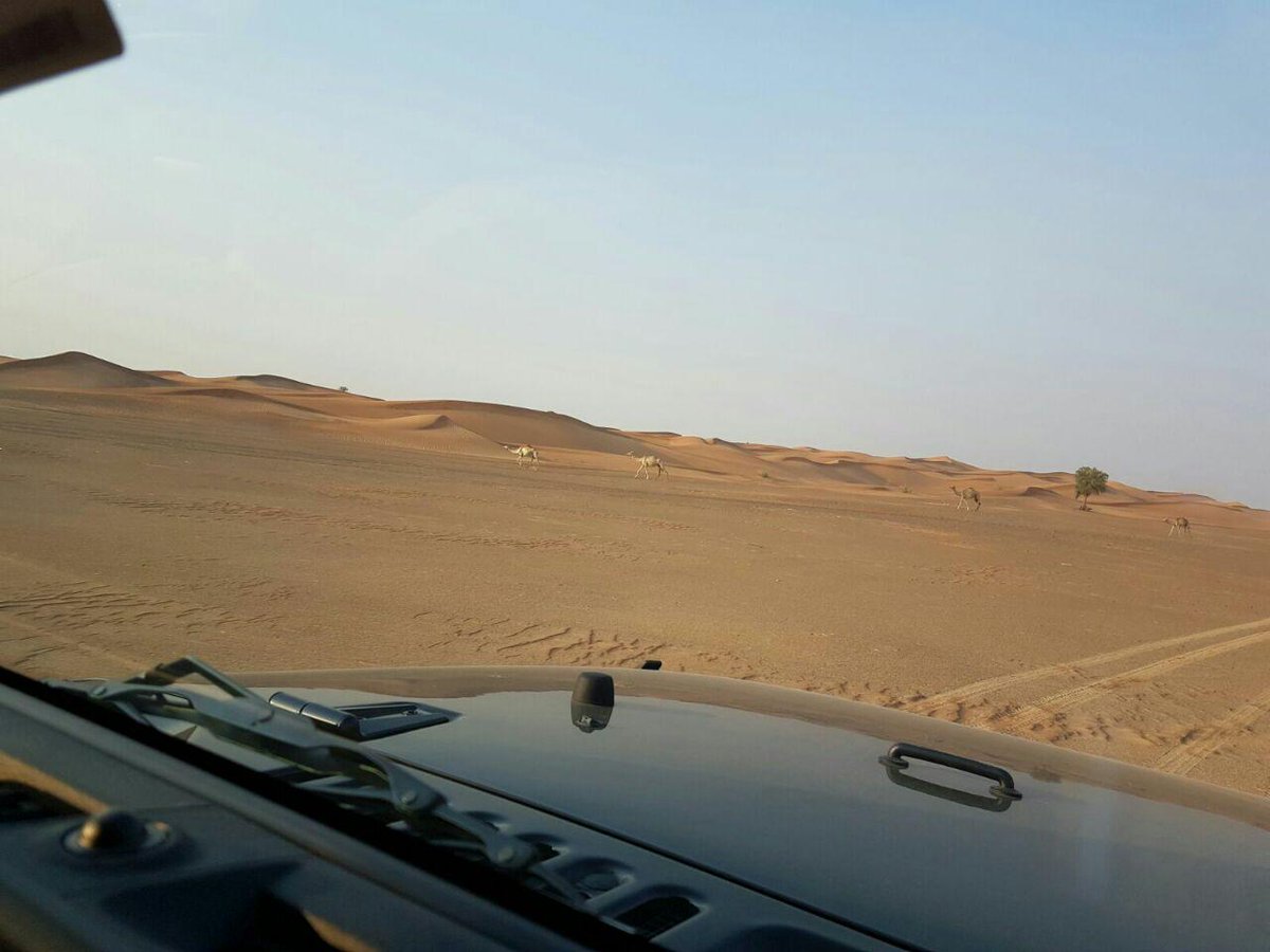 Terrenauto's tweet photo. Nada mejor que visualizar el desierto a través de un #jeepwrangler..y que nada te frene este fin de semana!! 
#Jeep #adventure #Terrenauto https://t.co/cWAXmf2iVT