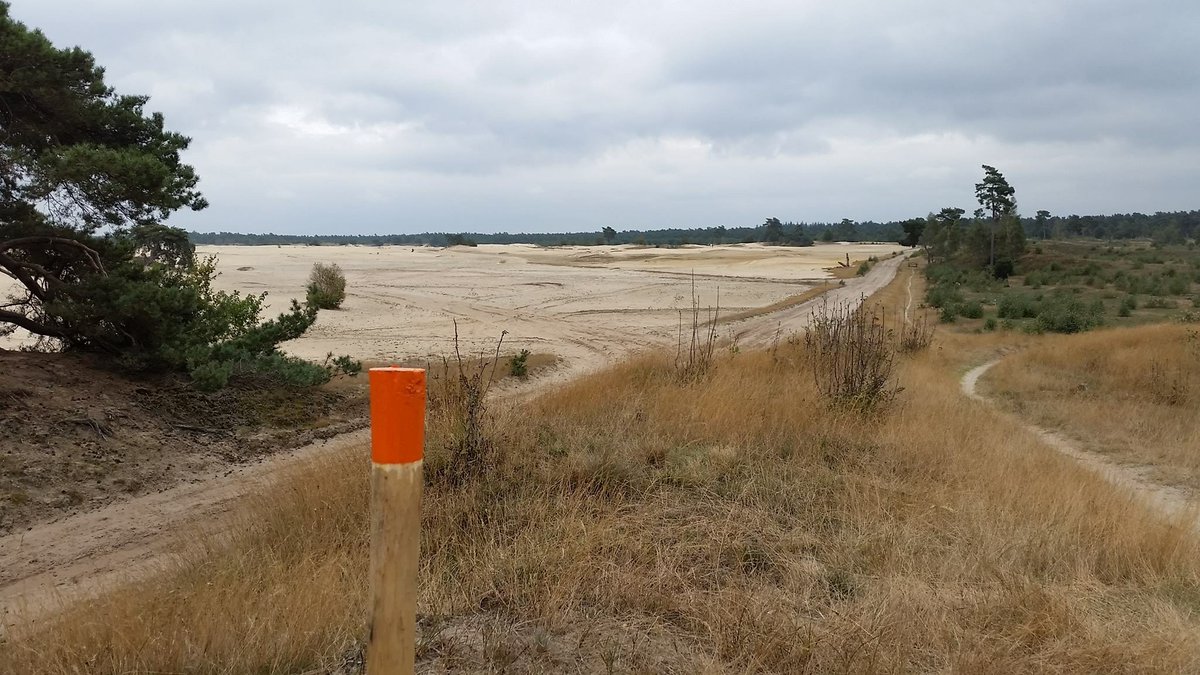 HotelHarderwijk's tweet photo. Onze wandelroute is weer helemaal compleet!
Haal een routekaart op bij onze receptie en geniet van een wandeling door de prachtige omgeving! https://t.co/6eatPXXcT5