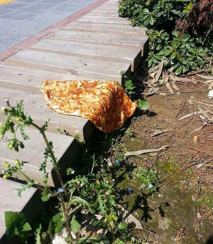 Bir lahmacun ustası Salvador Dalí'nin belleğin azmi tablosunu böyle yorumlamış