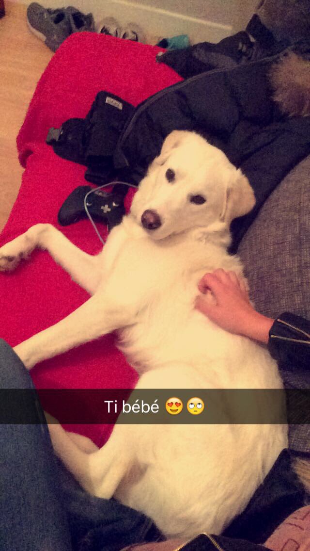 vtfffff's tweet image. 