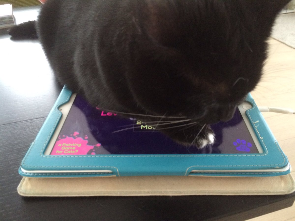 Jacqvandongen's tweet photo. Geen buitenspeelweer. Dan wordt 't binnen spelen: iPad, oortjes in de flightmodus en.....go! #gamesforcats https://t.co/kOTiYKCB8V
