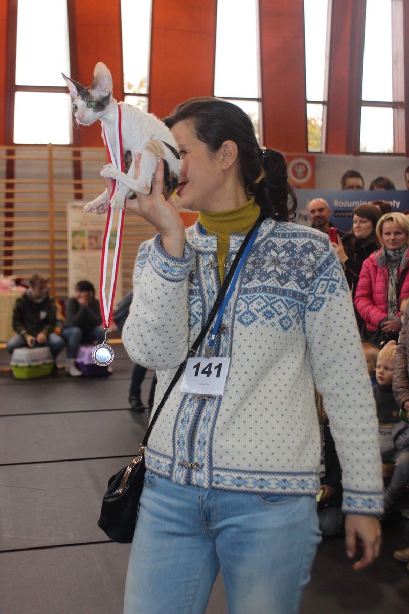 _DeoRex's tweet image. Выставка в Польше. Было весело, судья из Финляндии Kristina Rautio делала вид, что прячет нашего котенка, говорила, что увезет его с собой 😜