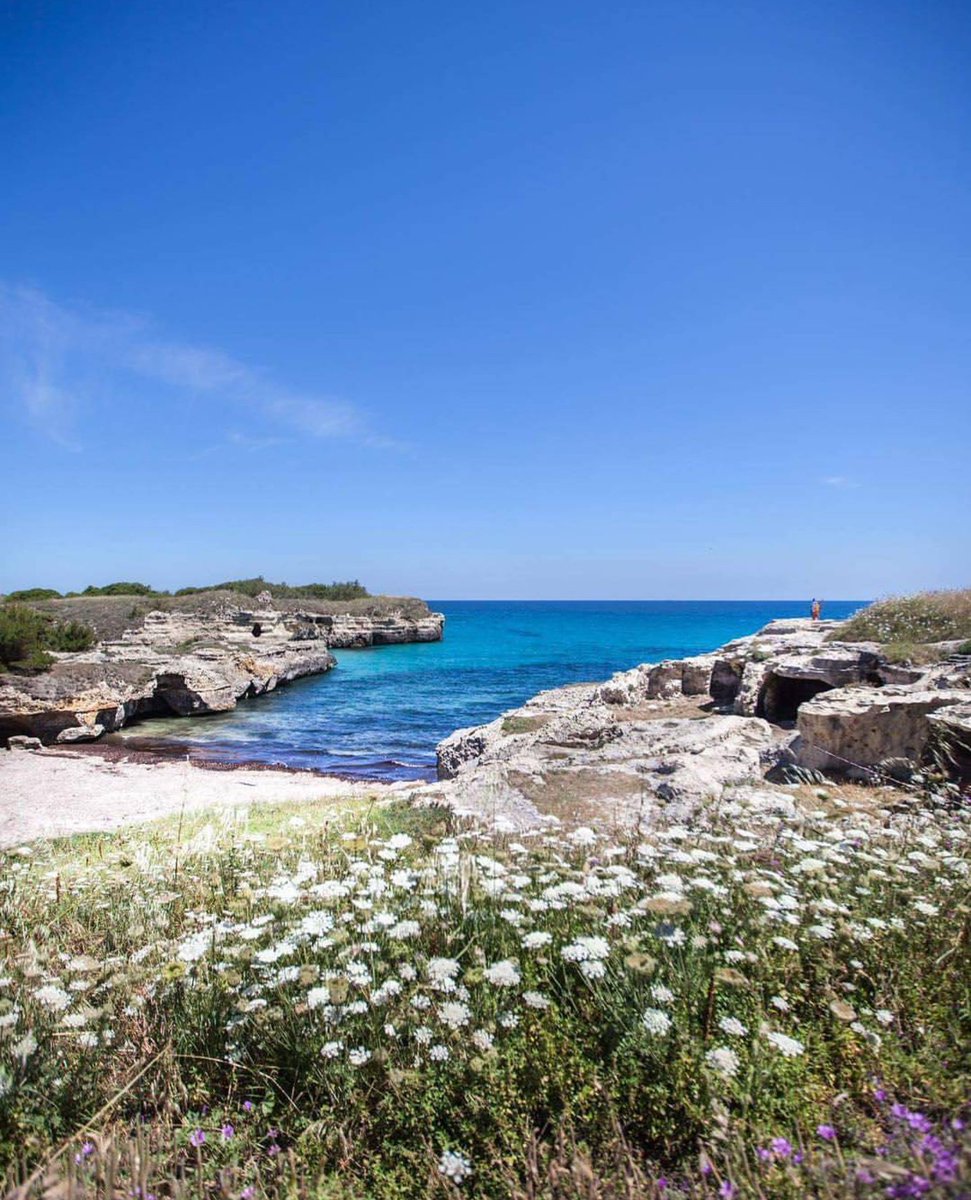 salentoupndown's tweet photo. Travel blogger d'oltralpe 🇫🇷, Claudia Le Pape di @cloetclem ha raccontato i colori del #Salento così...
📷 https://t.co/K8fBen0V2D
#SUD2016 https://t.co/1WU2PzpLpF