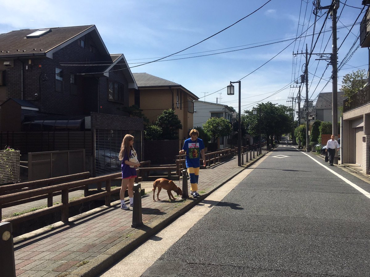 pecotecooo's tweet photo. わたしのサングラスじっと見てたからつけてあげたり、セルフタイマーで写真撮ってたら思いっきり前通ったり、早起きしてどすっぴんでお散歩したり、ケージの隙間に鼻つっこんだり… たった7日間やったけどサリーとの思い出が多すぎる😂💕BLOGにまた想いとともにたくさん写真ものせるね🌈 https://t.co/FAznPMSBSE