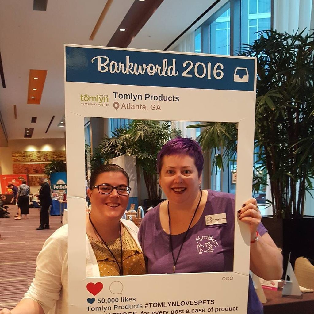 MuttButs's tweet photo. Having a great time at #Barkworld2016 with @anianimates.dog.walks.into.a.bar #Tomlynlovespets #uswardogs https://t.co/VK04qkBQCO