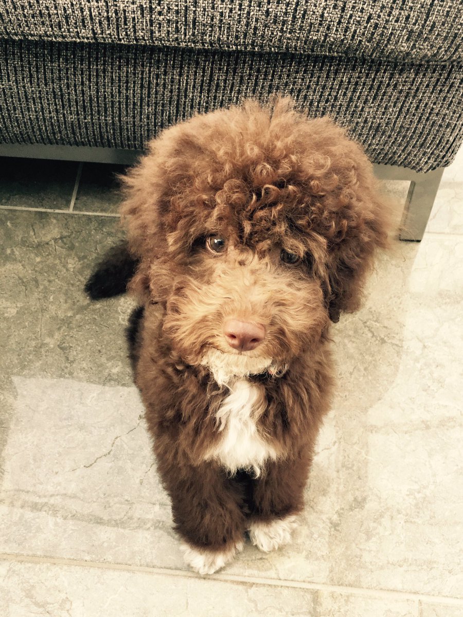 hellyred's tweet image. First visit to the beauty salon #backsackandcrack