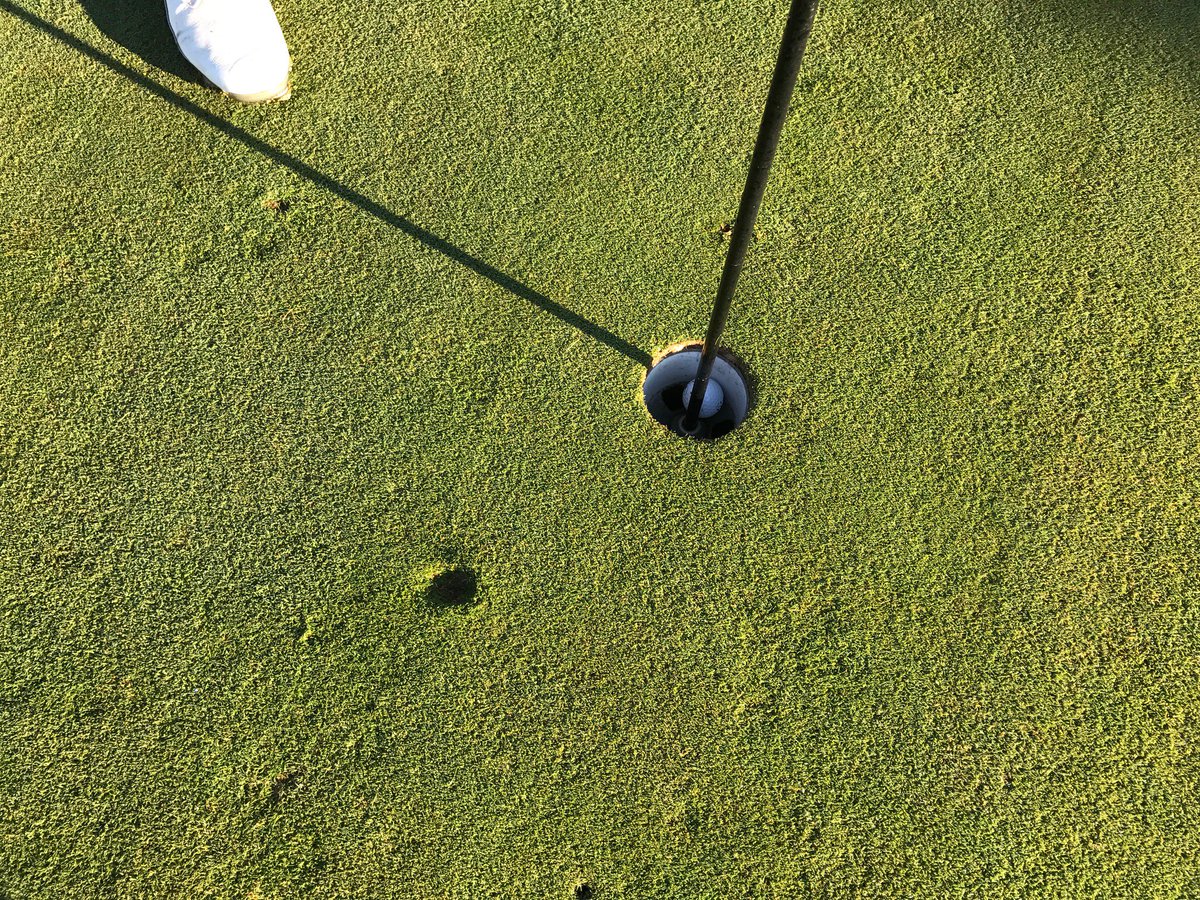 Club de Campo Sojuela tweet media