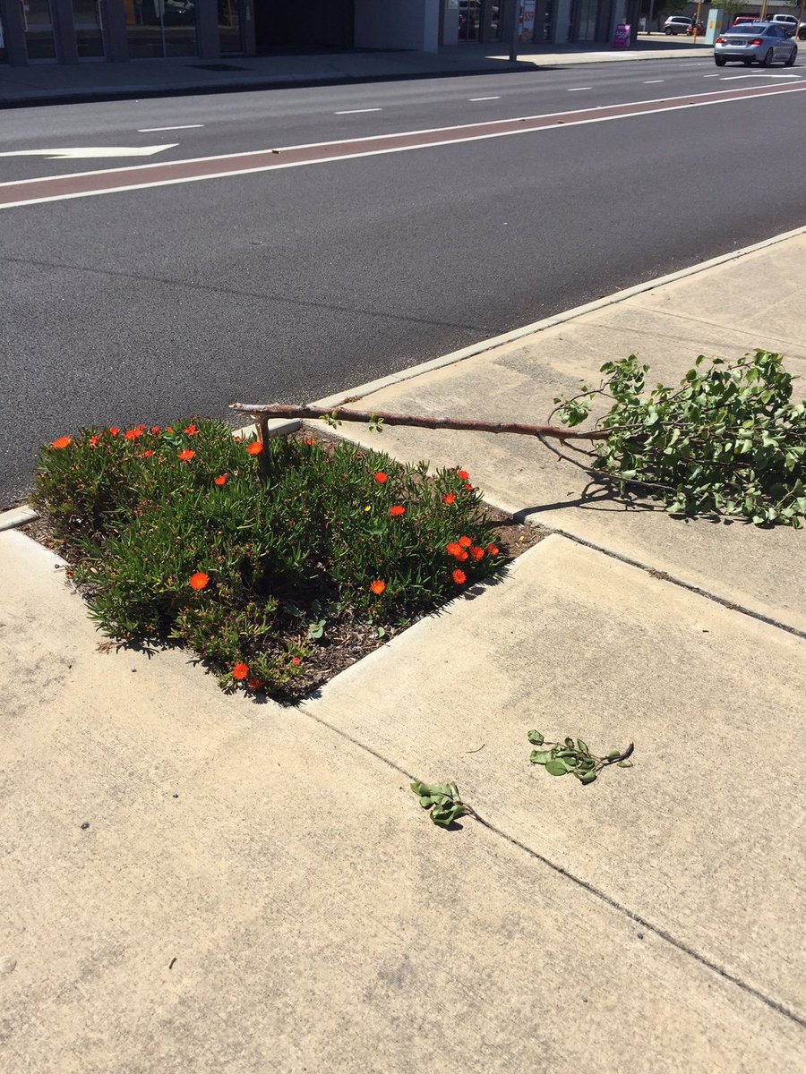 Morning all, a treat for us on arrival <a href="/OBCellars/">OldBridgeCellars</a> Very special dickhead required for this type of behaviour! Here till 8pm tonight..