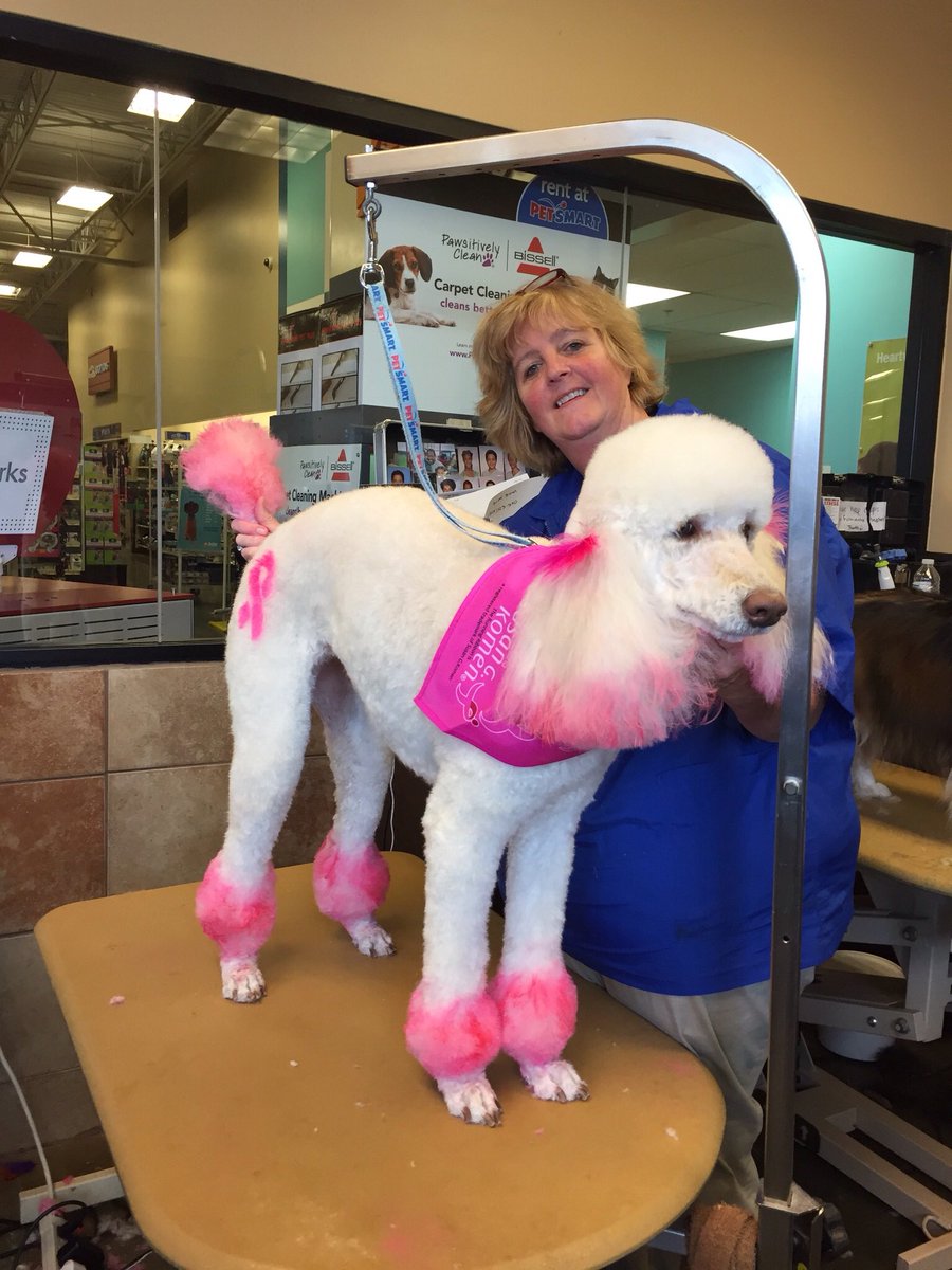 mszan1's tweet photo. Laurie Evers, 0748, #NEpetexpressions, @ssklr11, wnj https://t.co/vwH3ryR2dj