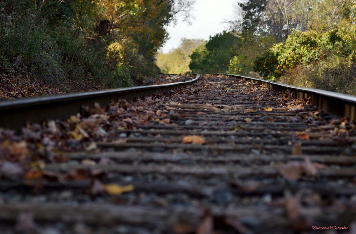 MrsStephie412's tweet image. #Parkersburg #WV #RailroadTracks #FallDay #LateOctober #rails #tracks #FallColors