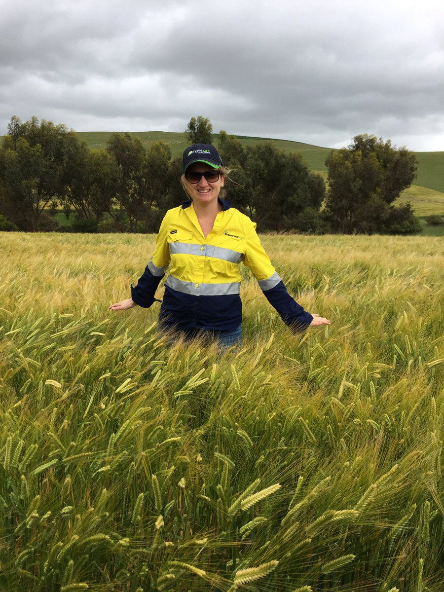 JKBreezyHillAg's tweet photo. Cannot even Fathom what I am seeing here, crop inspecting at Flairville, Georgetown #nowherenearready #fathomvshindmarsh @joekoch35 https://t.co/9haaeMLaKp
