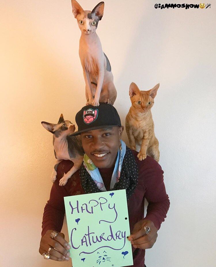 travelportland's tweet photo. Happy #NationalCatDay from all of us in Portland, especially our local cat rapper, @iammoshow! #PDX #PDXNOW https://t.co/KATcqaHC8w