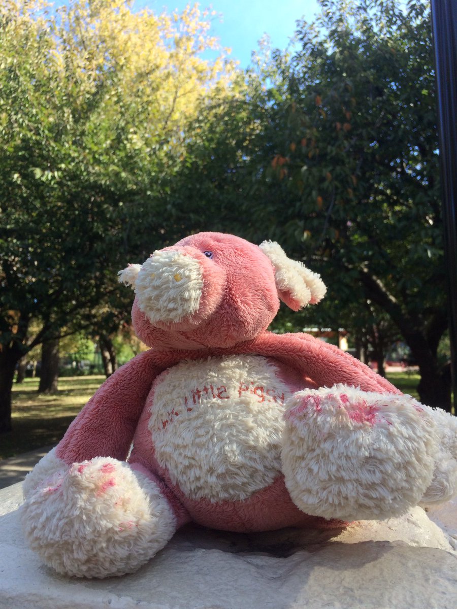lightenuptoodle's tweet photo. Spirit animals everywhere ! #mypeep #cuddleup https://t.co/BfBGdGVZvF