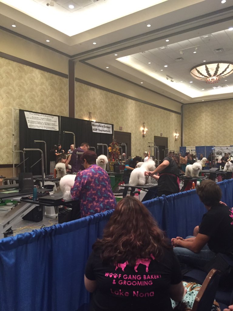 Grooming convention! So much to learn and so much money to be spent. #petsmartgrooming