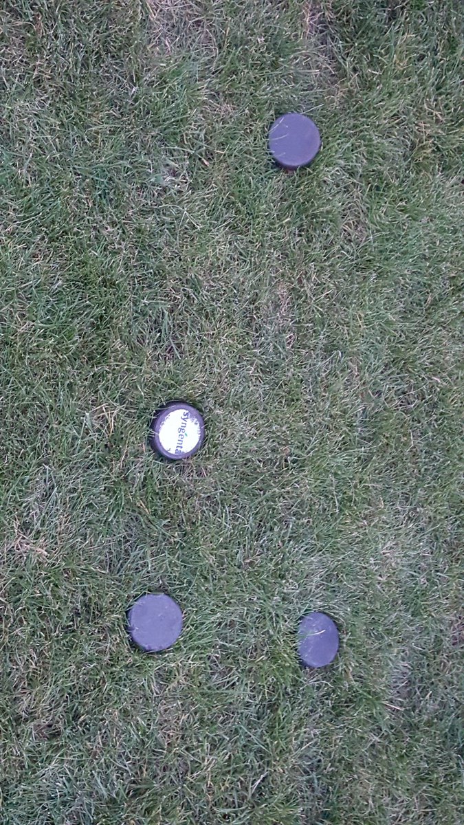 ChadRecker's tweet photo. #sometimes I wonder why the lawn mower blades are so dull. #sometimesidont https://t.co/HT9VkjCkrU