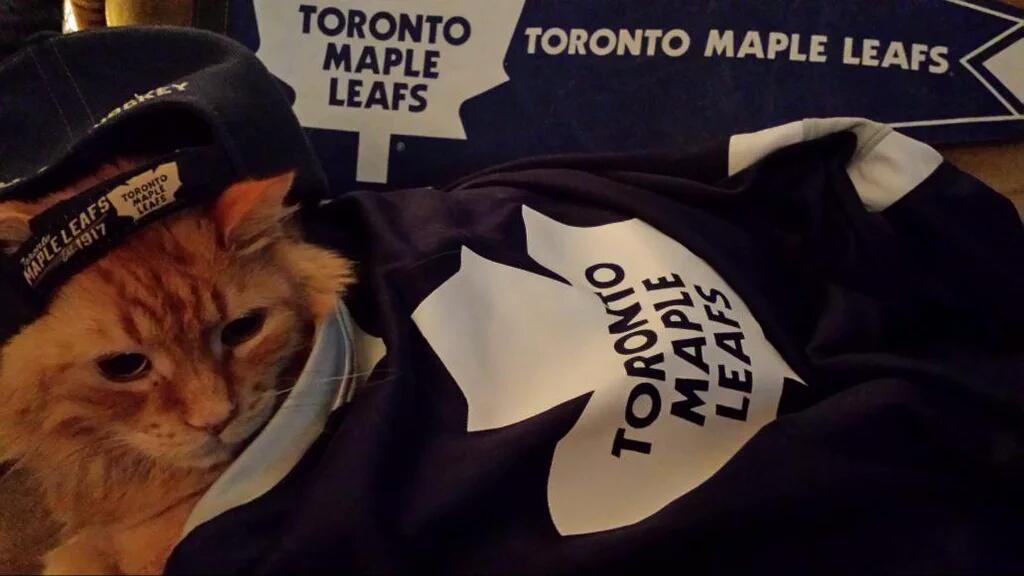 linmcgowan's tweet photo. @JRRestaino oh u bet although I don't hv pics he so does #BleedBlue but here's the late great Shmoopy w his #LeafsPride #GoLeafsGo #TMLtalk https://t.co/6XEiCnL9nA