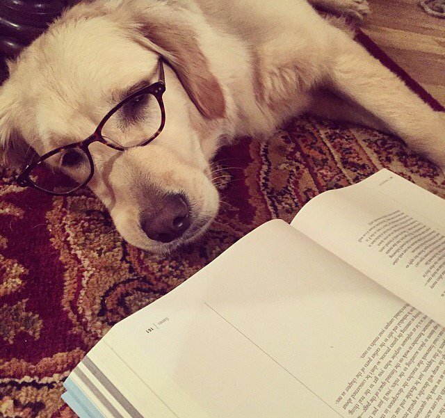 Bailey can't wait to #getmarketingdone this week.