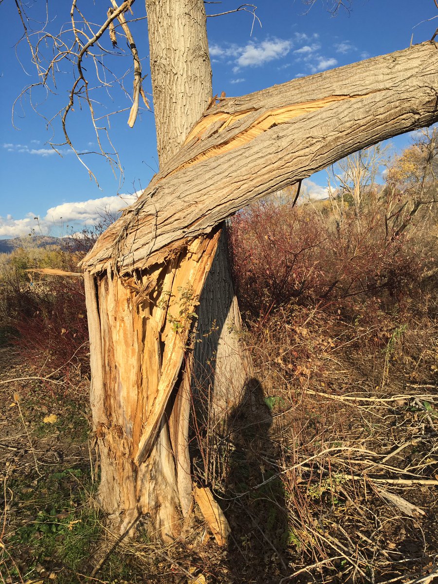 KelsMcCallister's tweet photo. Insane damage from the #RiverdaleTornado in September. Crazy to see natures power #UTWX https://t.co/QoFYVaYKpl
