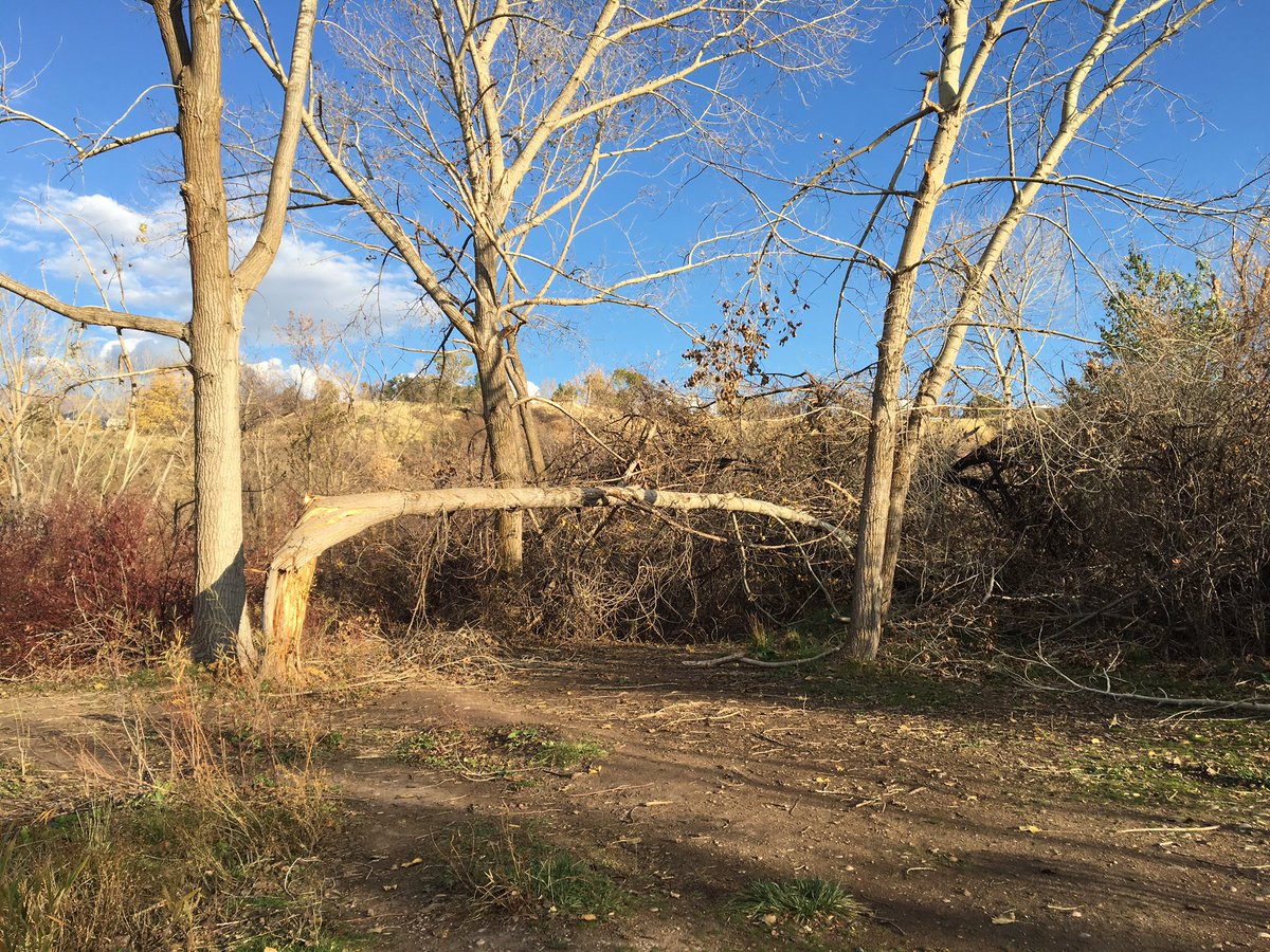 KelsMcCallister's tweet photo. Insane damage from the #RiverdaleTornado in September. Crazy to see natures power #UTWX https://t.co/QoFYVaYKpl