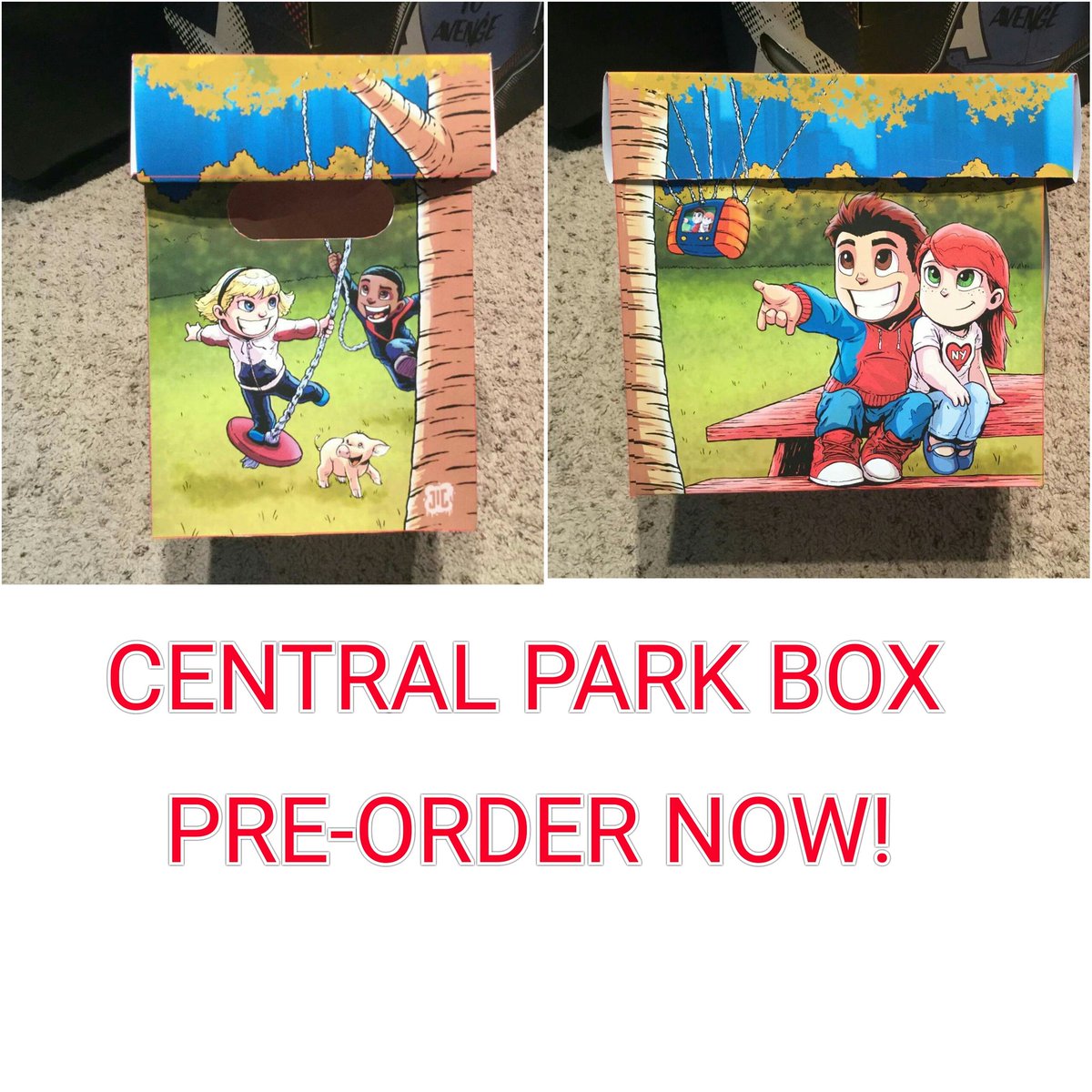 boxesinaction's tweet photo. Our central park box by @MeentsILLUS is now available for pre-order! Shipping in November! #boxesinaction #comicbookbox #comicbooks #comics https://t.co/CXd0LCO2RS
