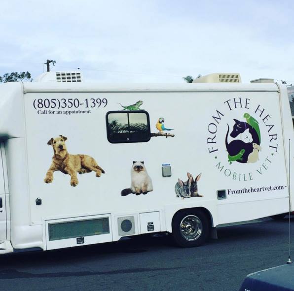 Fromtheheartvet's tweet photo. Do your pet's have anxiety about going to the vet? We come to you at From the Heart Vet! #mobilevet #petcare #petanxiety #fromtheheartvet https://t.co/9yRg4rcfmT