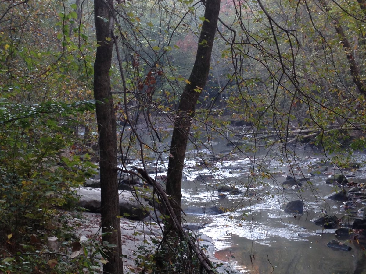 Trail running today. It's been a while. Pretty slow but very fun! #umsteadstatepark #trailrunning