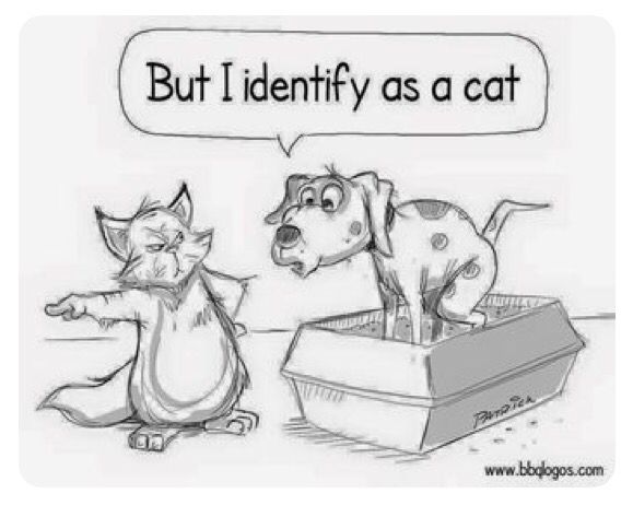 Cv-QR2yUIAAnVYf.jpg:large