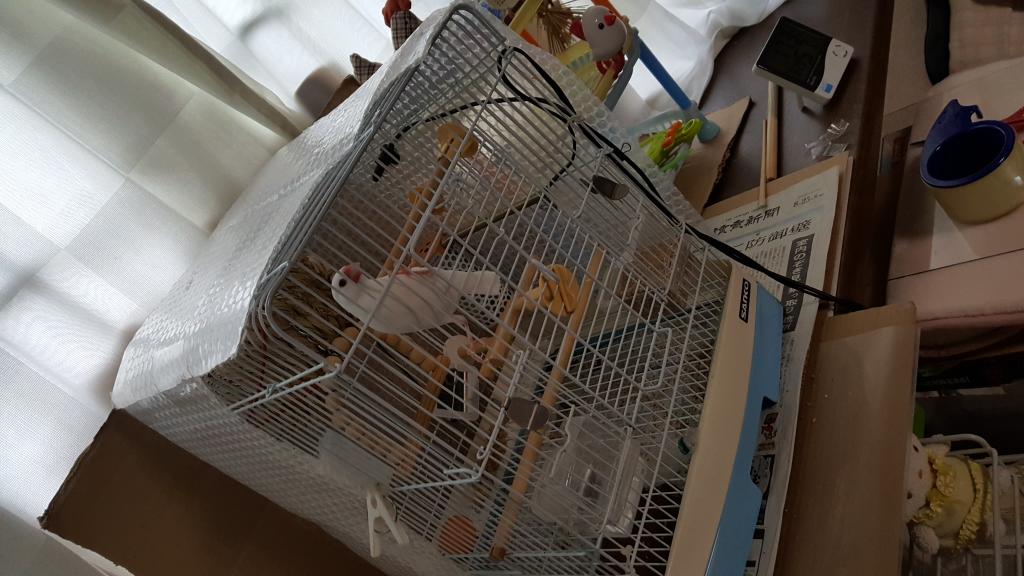 Yamagonn やまごん 答えは ユキちゃんケージの防寒対策カバー ケージの奥と右側は全面覆い 左側は半分だけ 遠赤外線ヒーターがあるので 手前はもちろん覆わず また 天井も完全に覆って 縁を側面と被せ隙間風をシャットアウト 文鳥 防寒対策