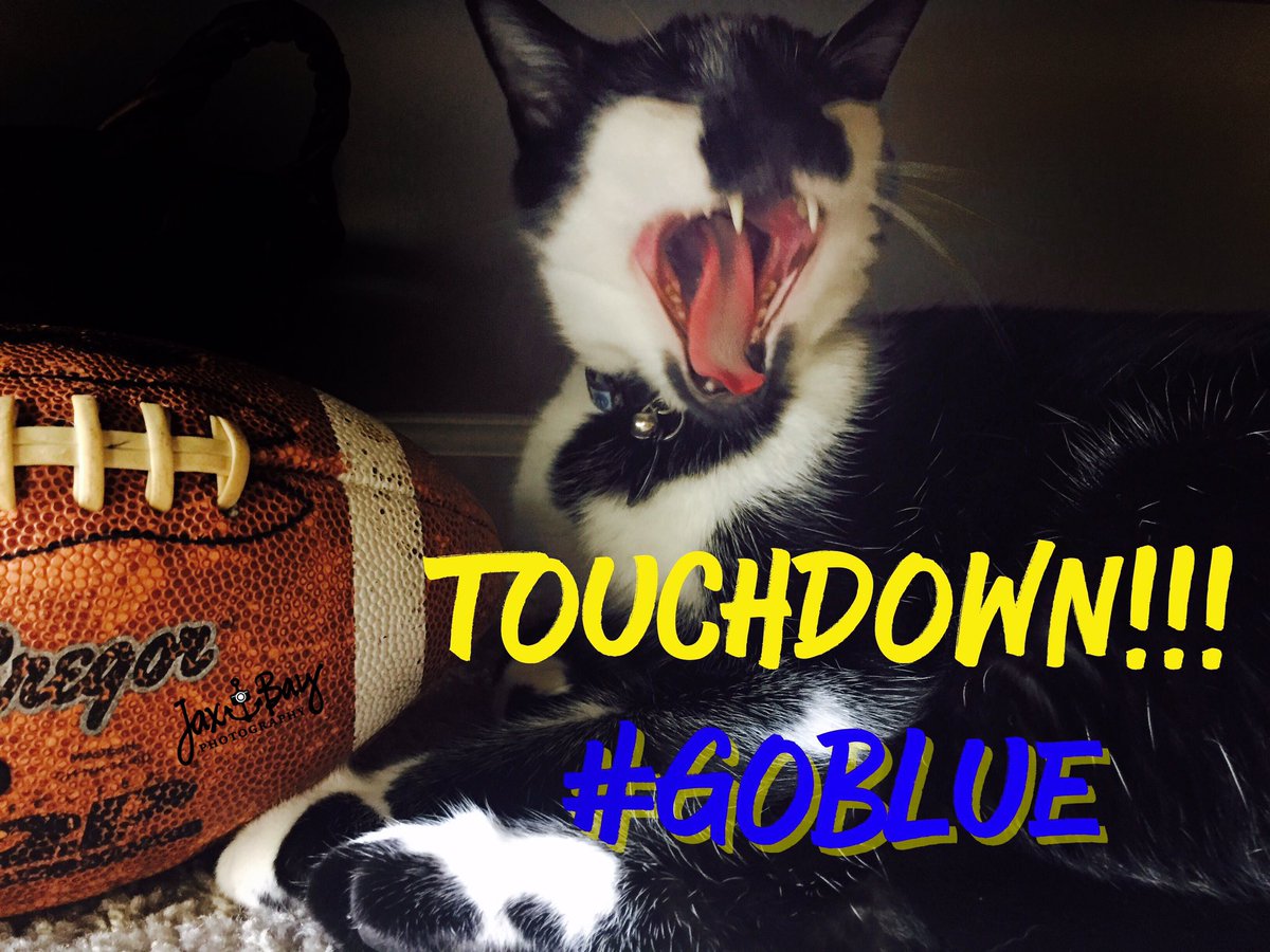 I watched a lil football today!! #GoBlue