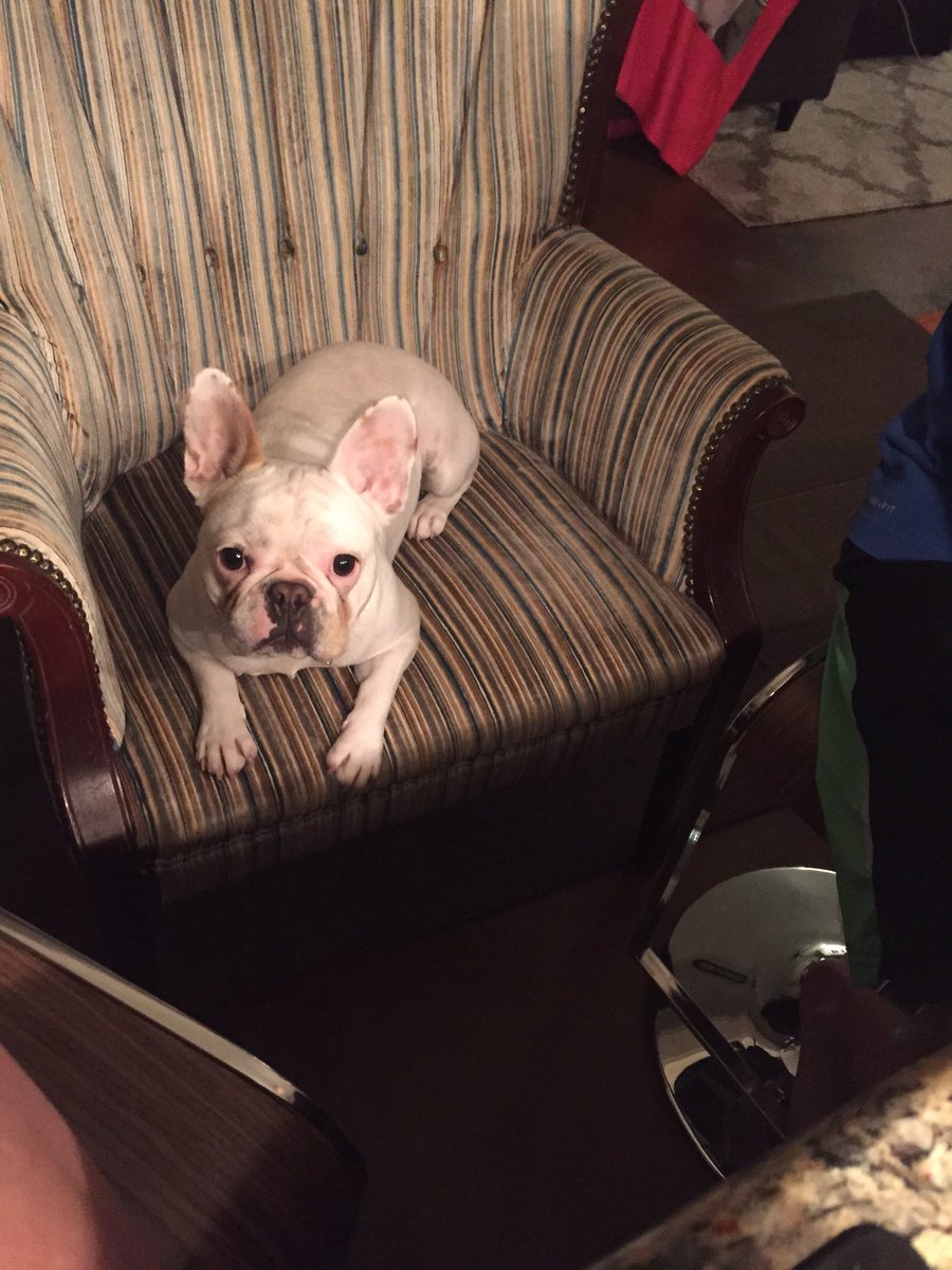 gloveritchey's tweet photo. Georgia always got to sit in this chair for special dinners with us. Tonight Emmy is in it while we have dinner at the kitchen island. 💗 https://t.co/A1LJNr1w7U