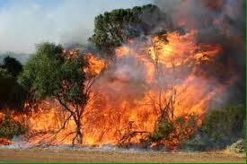 ESPNBooger's tweet image. Live look at Ole Miss run defense the last 2 weeks