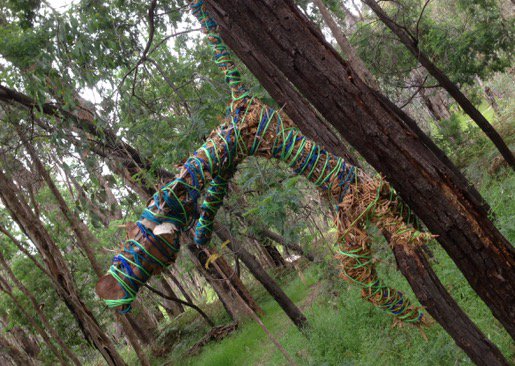 _jenporter's tweet photo. An odd little offering we found on a bush walk #mountpilot https://t.co/0q45wOh6qd