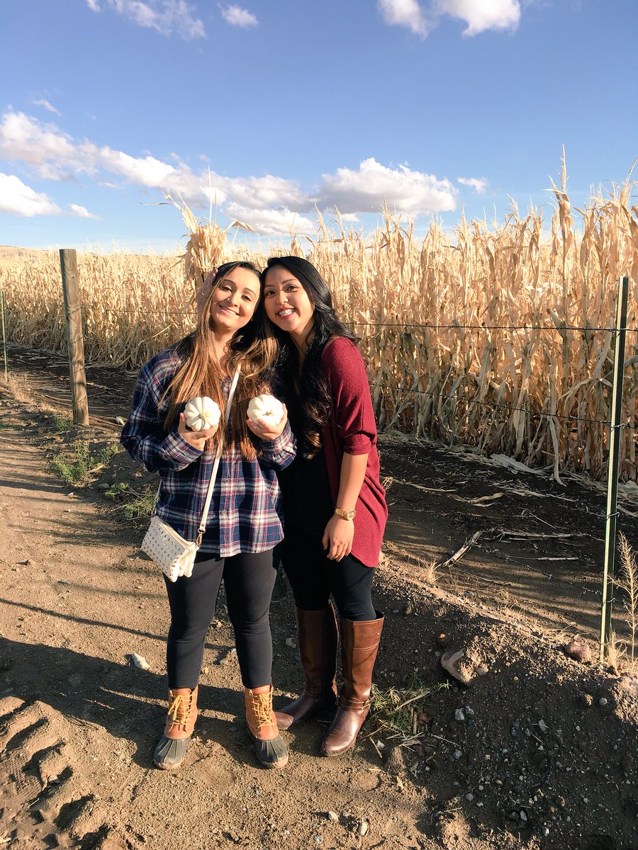 ccalbonero's tweet image. It was a pumpkin kinda day 🍂 #fallaf