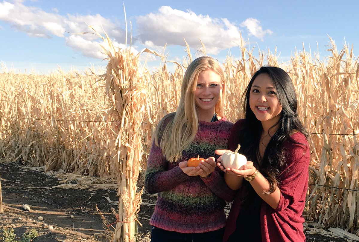 ccalbonero's tweet image. It was a pumpkin kinda day 🍂 #fallaf