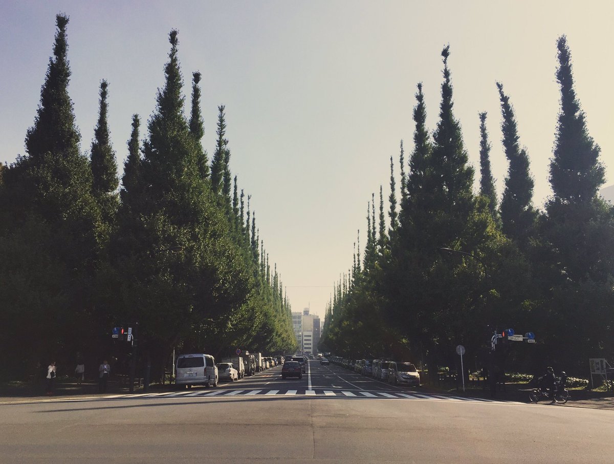 東京設計週☁️Mirror
#tokyo #japen #green #tokyodesignweek #architecture #architecturedesign #건물 #建物 #Building #Interiordesign #design #mirror