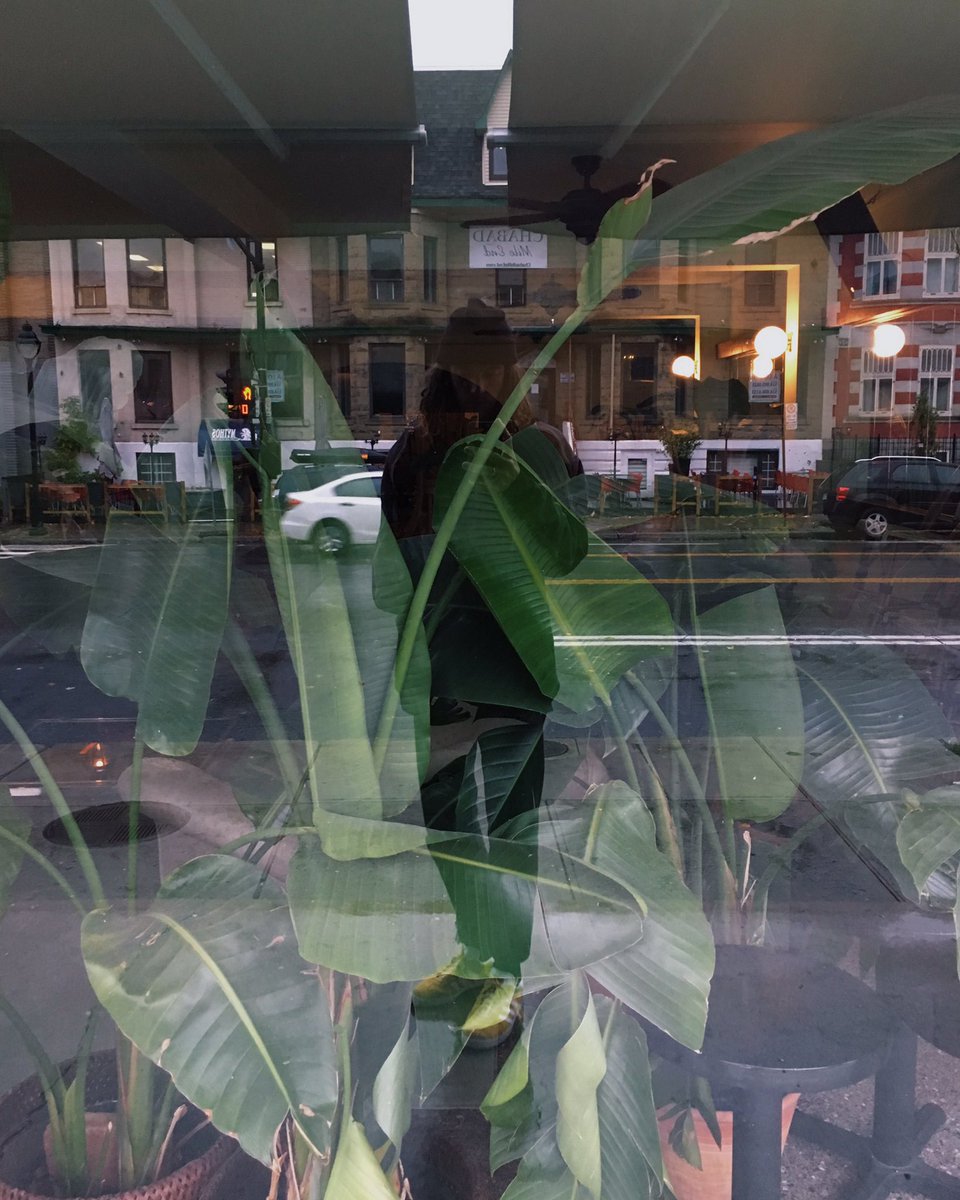 pauljasonklein tweet picture