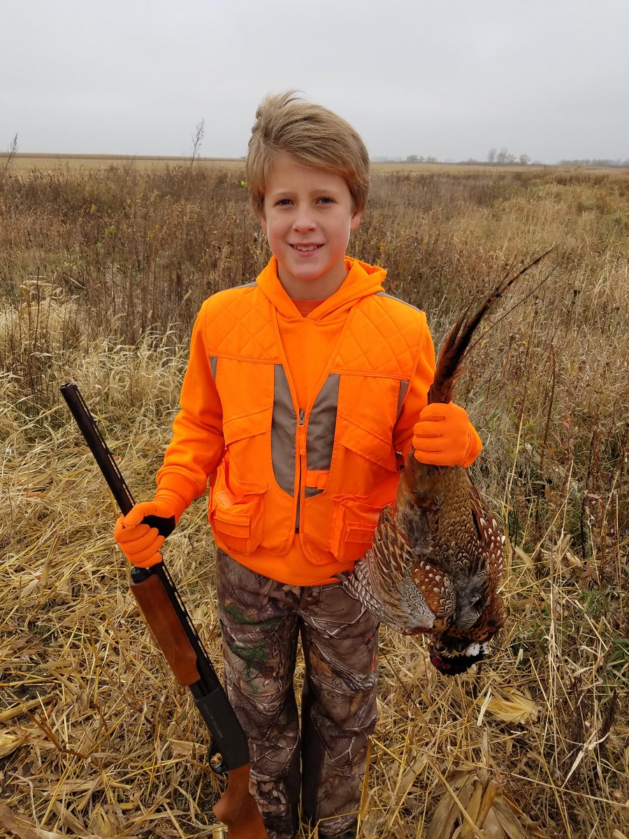 dunn316's tweet photo. Start' em young! @pheasants4ever https://t.co/vZZ8CZbFAp
