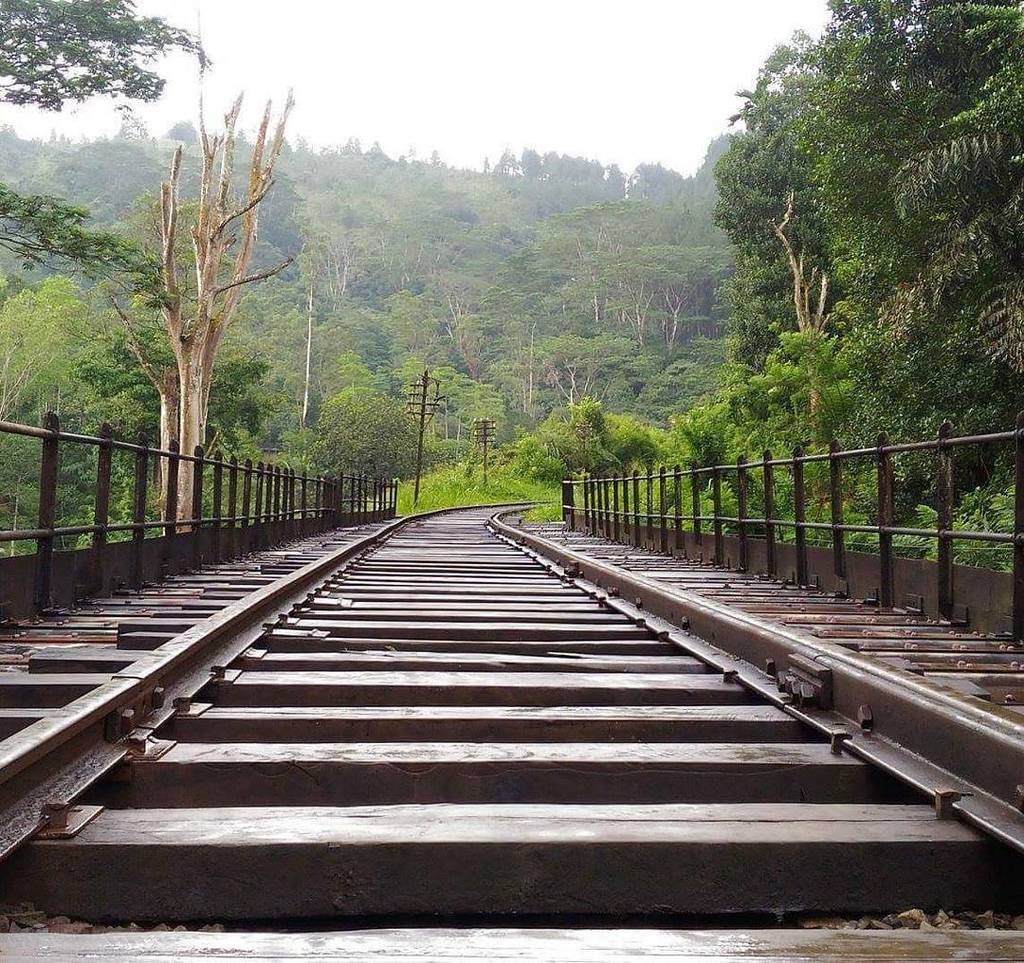 SLRailwayForum's tweet photo. From @samudrabandaranayake - #hiketime #railhike #newexperience #goodtimesgoodfriends #en… https://t.co/iNaztzytKh https://t.co/OwLDsh4Dcp