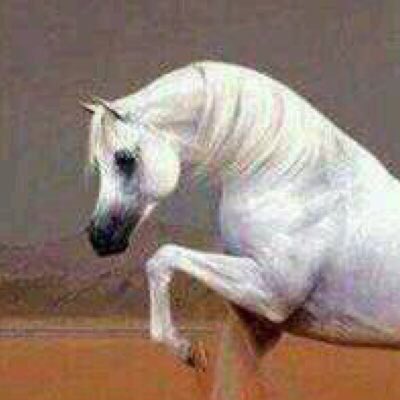 جفول مايطمع بها كل مطفوق مثل الأصيل اللي تلاوح رسنها.