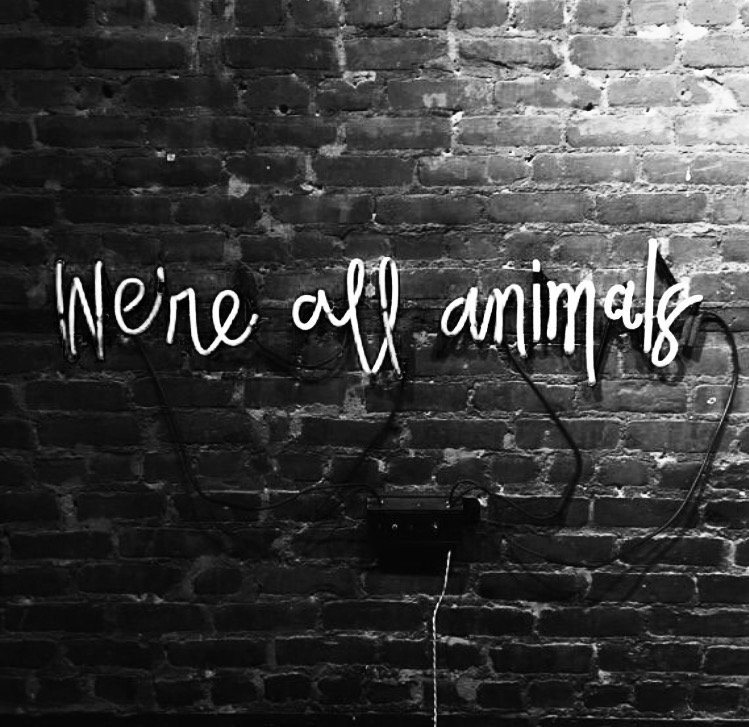 Unleash your inner animal at PLAYLIST. Yoga. Sign up for Hip Hop Fridays with Mikey tomorrow at 5:30 PM. Link in bio.