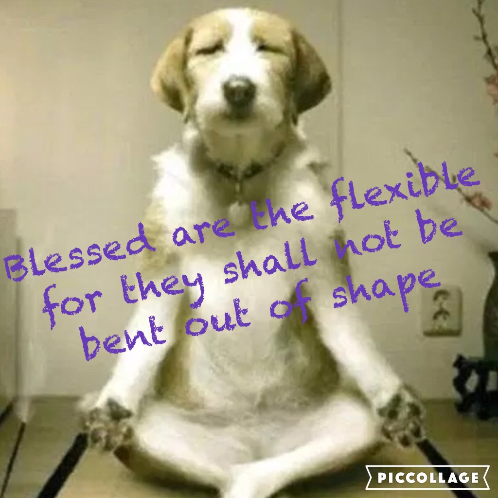 jsweatherton's tweet photo. Blessed are the flexible for they shall not be bent out of shape #piccollage https://t.co/txToPZZMOf https://t.co/SFUaD0BmO3