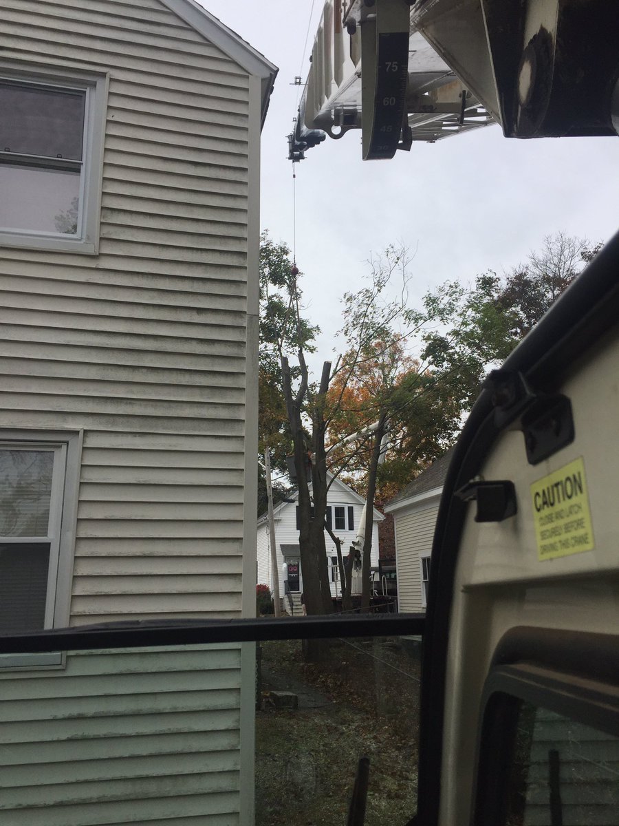 FerrisTreeSvc's tweet image. Today&apos;s view from the crane picking out some Maple trees between houses.