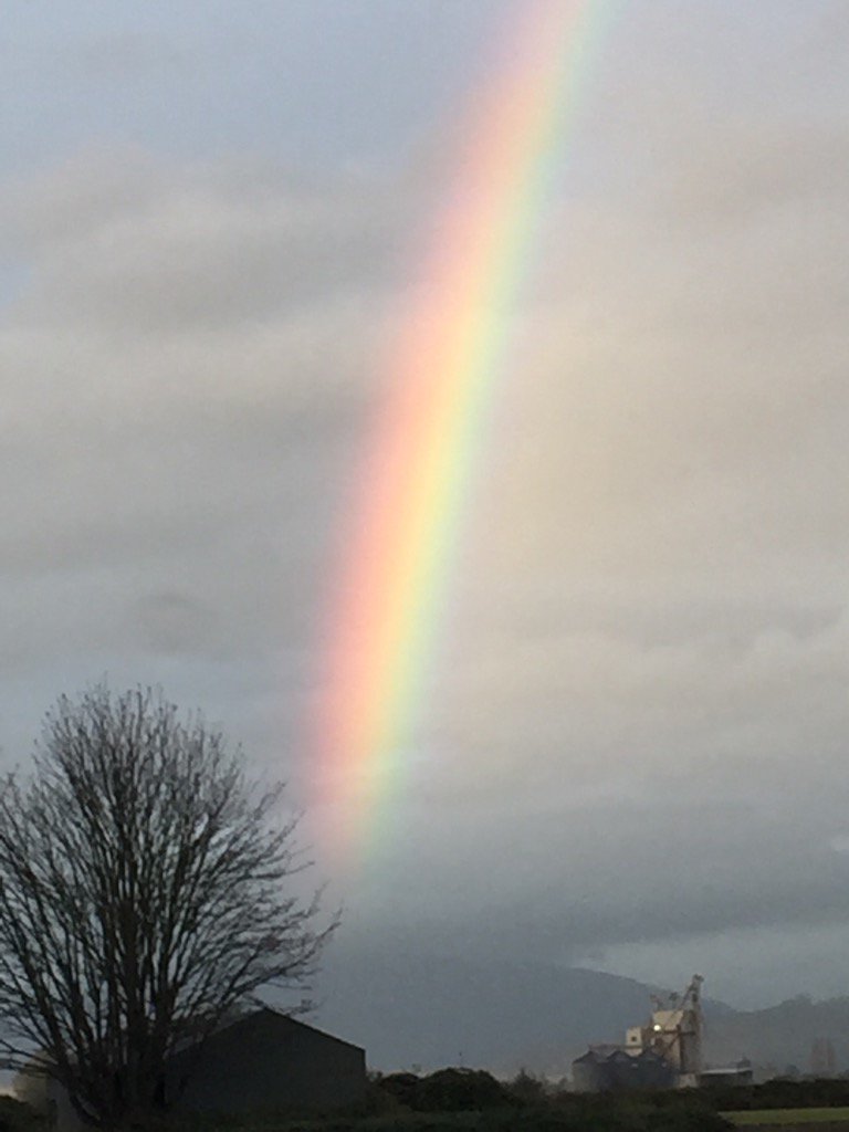 coachsuewright's tweet photo. Wow! I live that close to a pot of gold?!? #somewhereoverarainbow https://t.co/sOfoUup44J