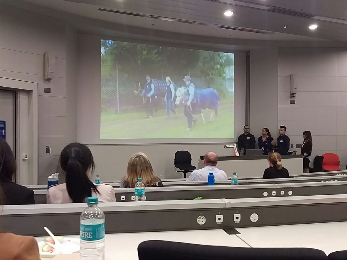 unimelb_MUPSS's tweet photo. Raising awareness for Riding Develops Abilities. Equine therapy for disabilities @bec_rose5 @brandaz888 #UoMDPT2016 #cocreatesummit https://t.co/RxRfglFxy3