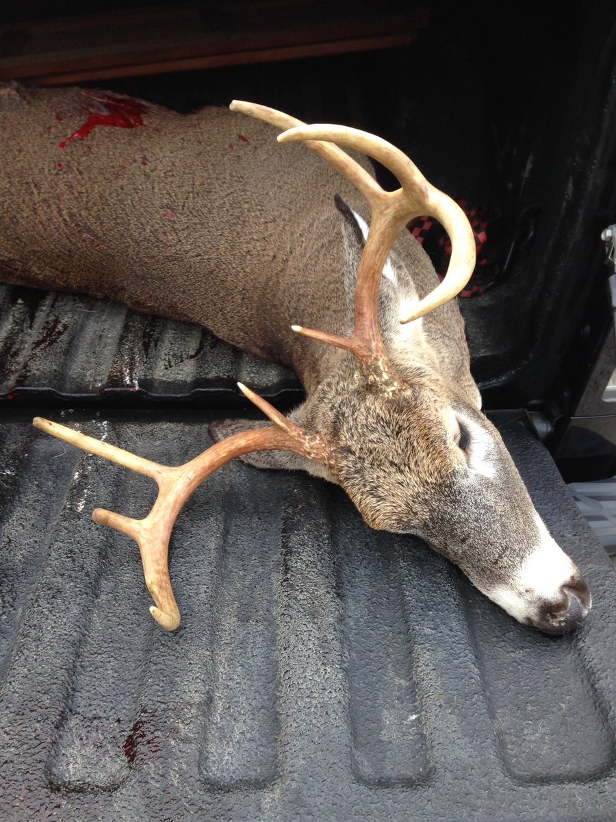 dancarpenterNFL's tweet photo. Finally got my bow season buck! Thanks to @rosey9473 for the great spot. @UAHUNT @Mathews_Archery https://t.co/h08Q4E3HTf