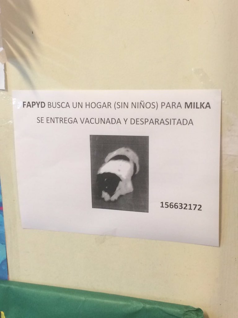FapydOk's tweet photo. La quieren desalojar de la fapyd y ella tipo... #PrayForMilka https://t.co/x6kqY5D91b