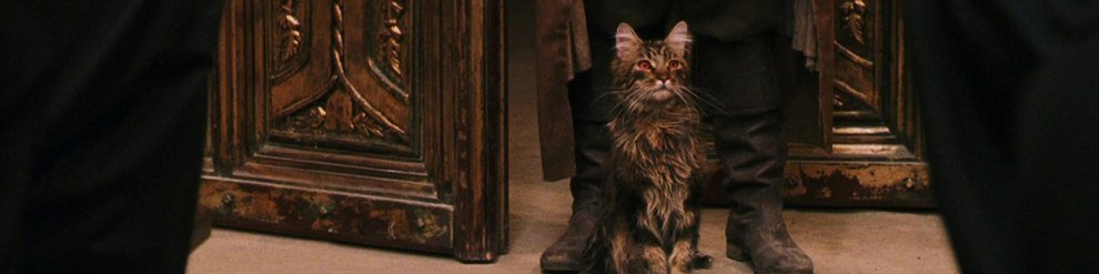 ProfessorDum's tweet photo. Madame Norra, rainha dos corredores de Hogwarts, passando pela sua timeline.  #teamgato https://t.co/3Iey47Q5Cr