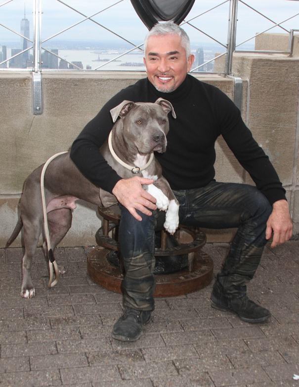Cesar Millan To Be ‘The Messenger’ In Endangered Animals Series – Mipcom

deadline.com/2016/10/cesar-…