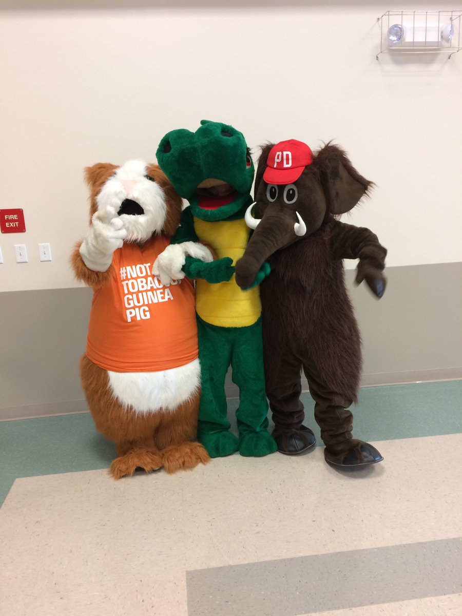 _WCYC_'s tweet photo. Coral canyon elementary, all about refusal skillz. #squadless #finishit #utoutrage #utfinishers https://t.co/lK0Muzcklp