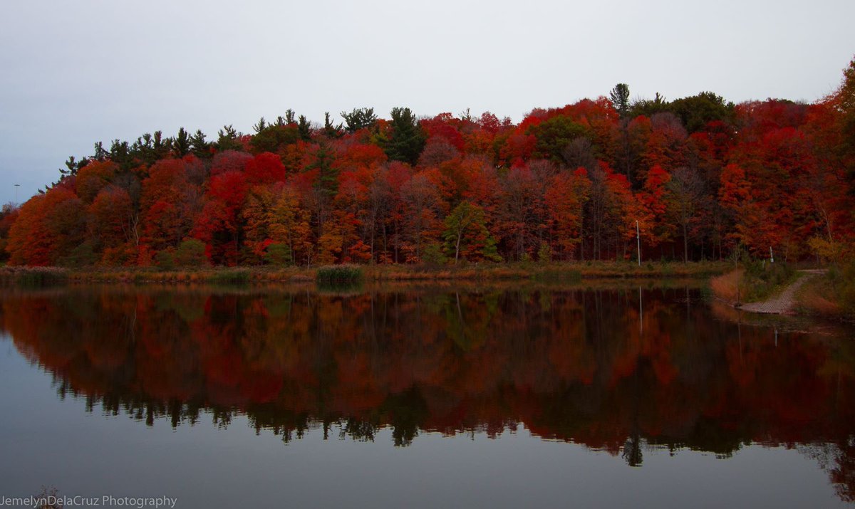 JemelynCruz's tweet image. #fallTO